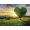 strom ve tvaru srdce shutterstock 619361375
