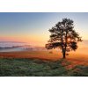 Východ slunce na louce shutterstock 125108972