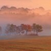Východ slunce na louce shutterstock 125108972 zoom