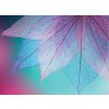 Makro list shutterstock 728448754