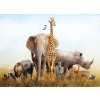 Zvířata savana shutterstock 727249072