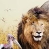 Zvířata savana shutterstock 727249072 zoom