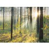les shutterstock 92077058