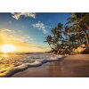 Tapeta Pláž při západu slunce (Vel. (šířka x výška) 504 x 310 cm)