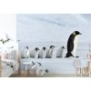 Rodina tučňáků shutterstock 611796077 interier