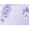 Orchidej 7 shutterstock 1830263306