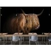 Highland Cattle shutterstock 1825585037 interier