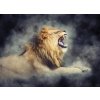 Lev shutterstock 499639894