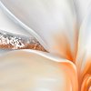 Magnolie 08 shutterstock 1817572175 zoom