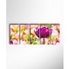 Obraz Pestrý tulipán