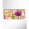 Obraz Pestrý tulipán