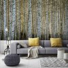 interier birch 6868914