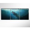 nahled 3dil 150x60 X