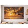 Obraz Osamělý strom ve zlatém západu