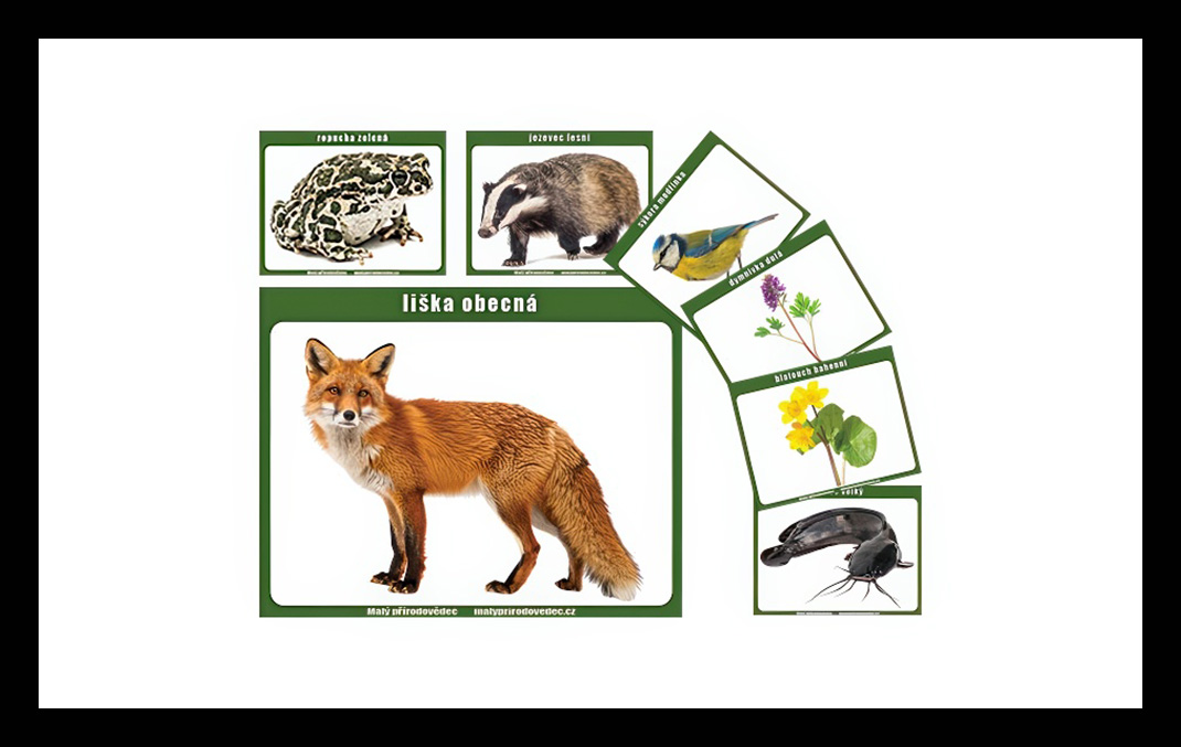 Edukační tabulky A5