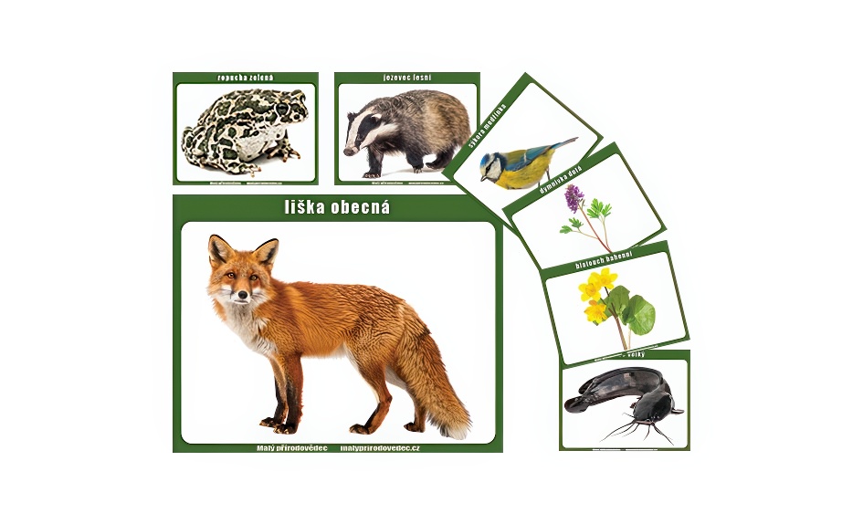 Edukační tabulky A5