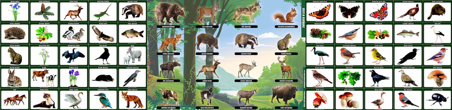 Učební magnetické tabule