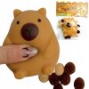 mochi-taba-squishy-kapybara--nahodny-motiv-
