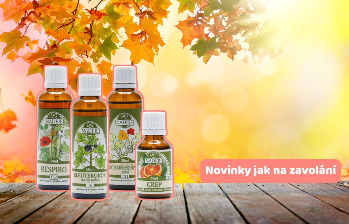 Podzim bez starostí? Začněte dnes! 🍂
