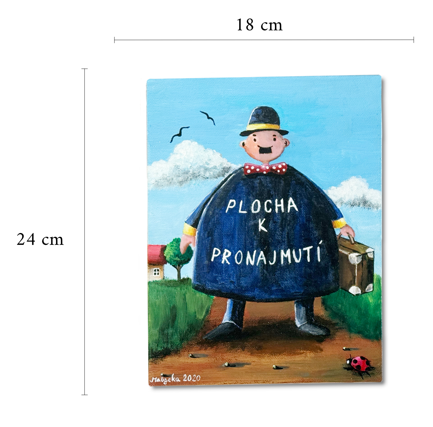 plocha