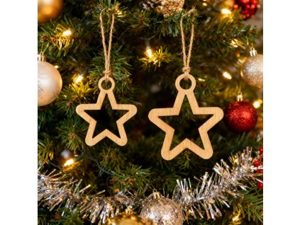 Christmas tree decor (16)