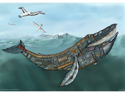 whale small resolution