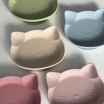 IMAGE 2026 02 17 21:48:27