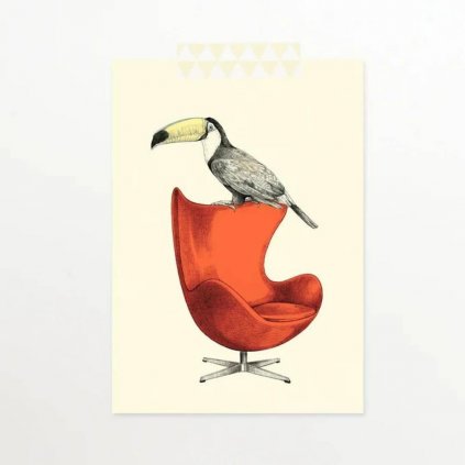 pohlednice tukan