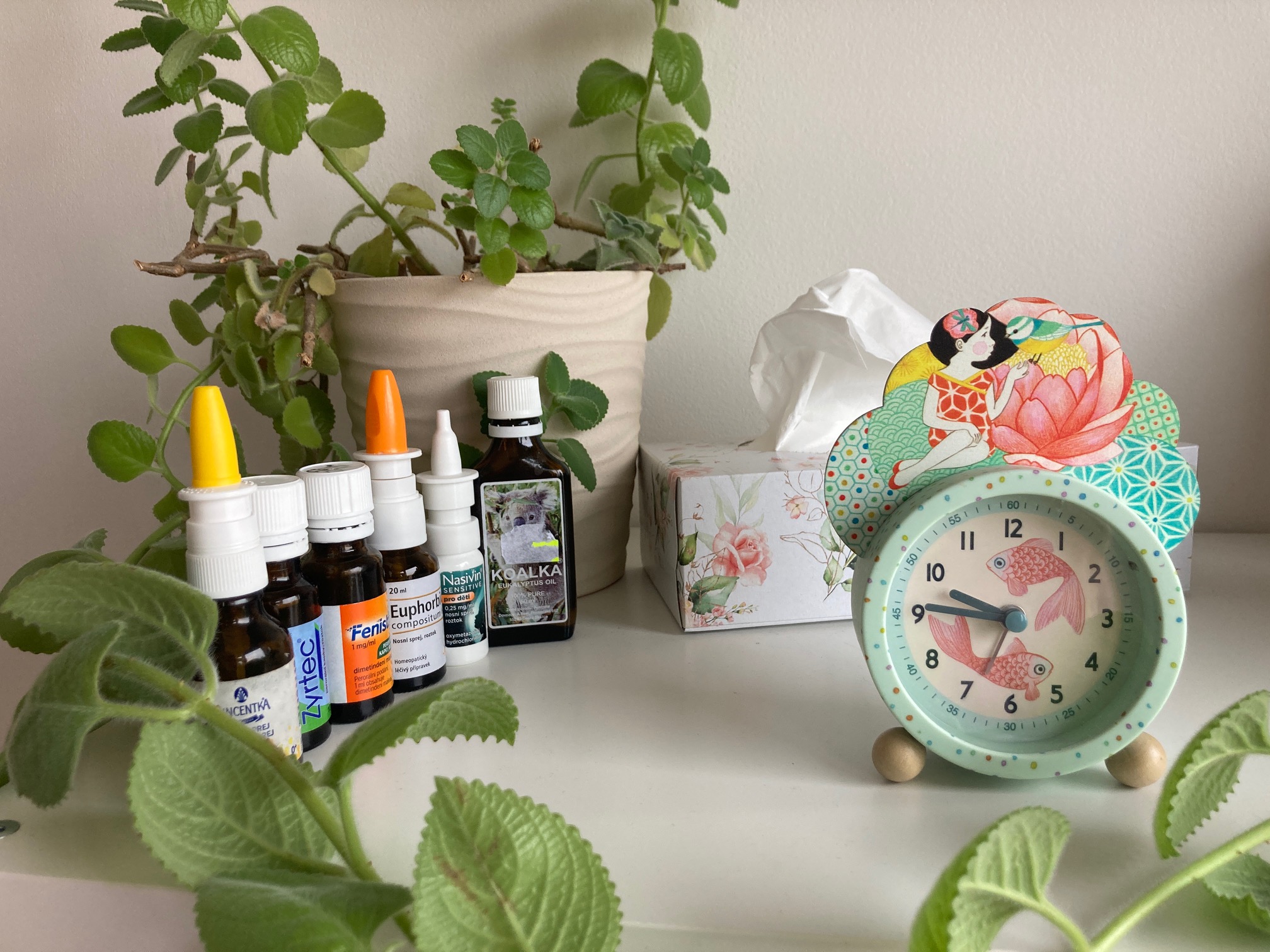 10 rad na (dětské) rýmičky, aneb co radí moudří doktoři a báby kořenářky