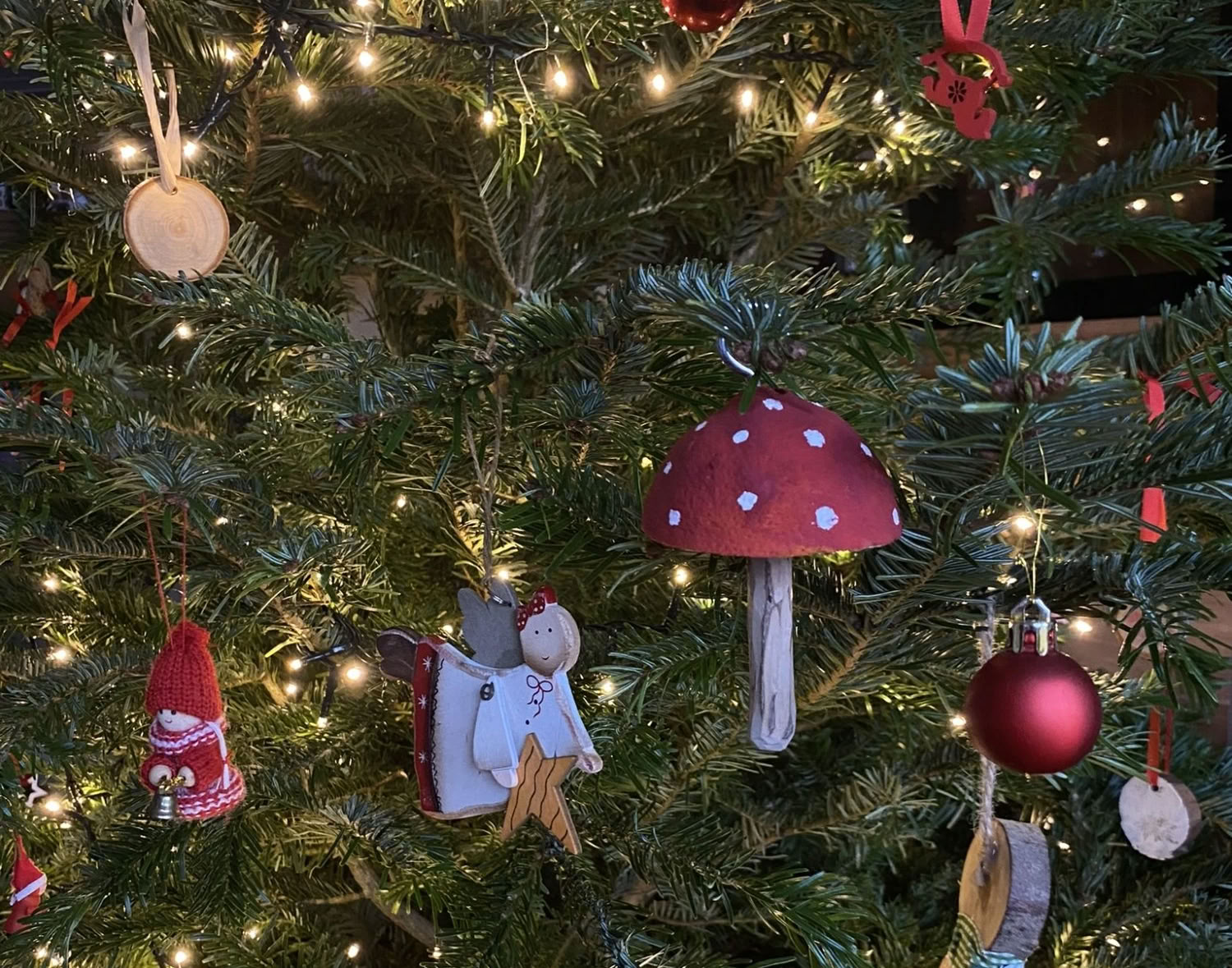 Tři tipy, jak udělat dobrý skutek v předvánočním shonu