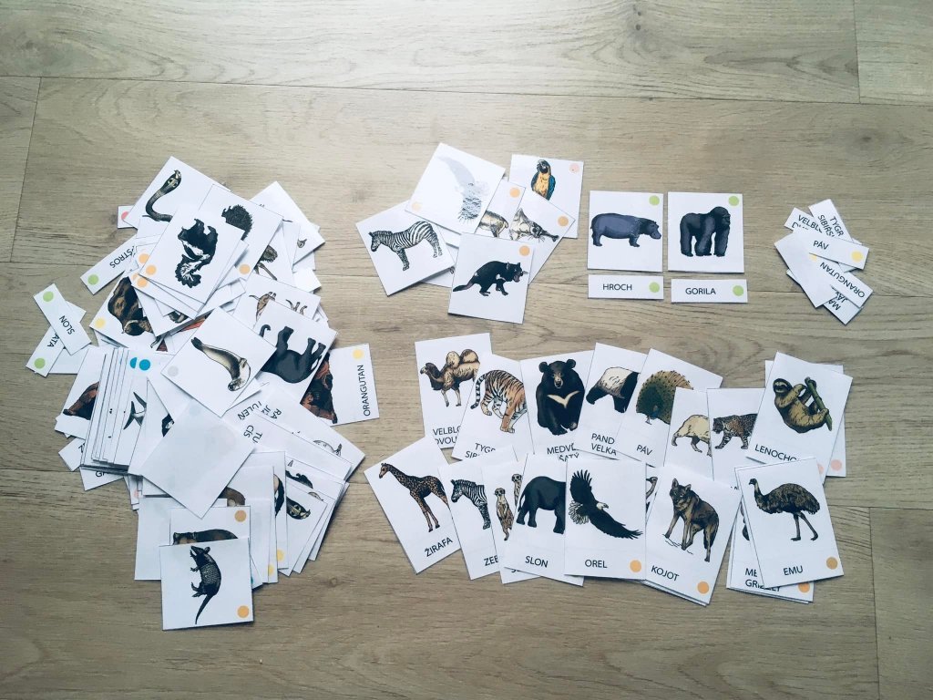 Zvířata světa - třísložkové karty (PDF)