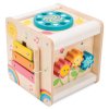 PL105 Petit Activity Cube