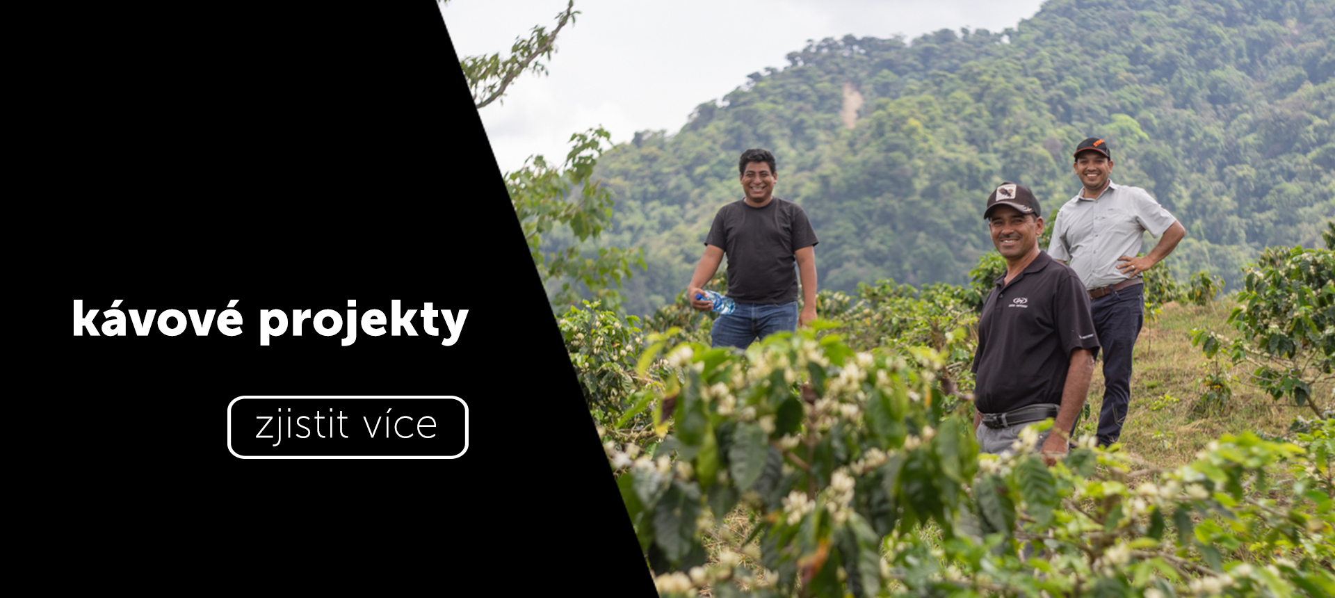 kávvé projekty - nikaragua