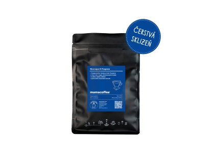 Progreso placka 100g 26