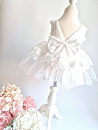 ✨ Chcete, aby sa aj vaša dcérka cítila ako skutočná princezná? 👑 Objavte naše čarovné šaty pre malé slečny, ktoré očaria...