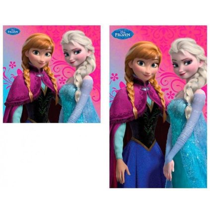 duo de serviettes mains et visage disney la reine des neiges anna elsa