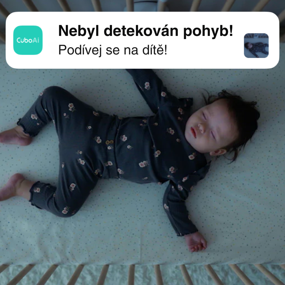 CZ_CUBO_AI_OPIS