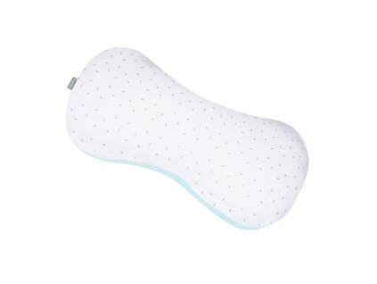polstar mint grey leaves02