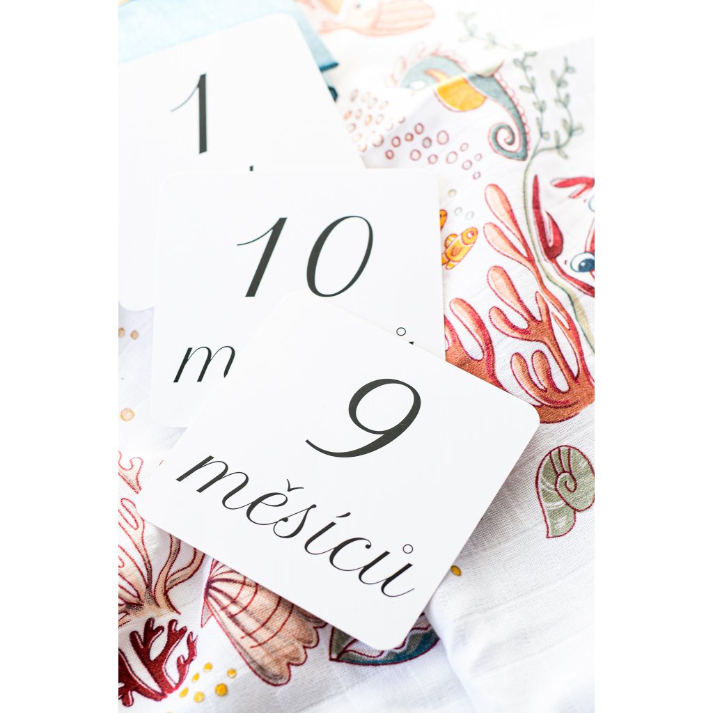 13 minimalistických milníkových kartiček pro zaznaménání měsíců miminka.