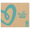 5259 3 pampers pants bugyi pelenka havi csomag 4 176 db
