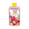 10792 1 hamanek cervene ovoce 100 ovoce 6m 100 g