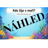 Zábavné aktivity pro malé objevitele