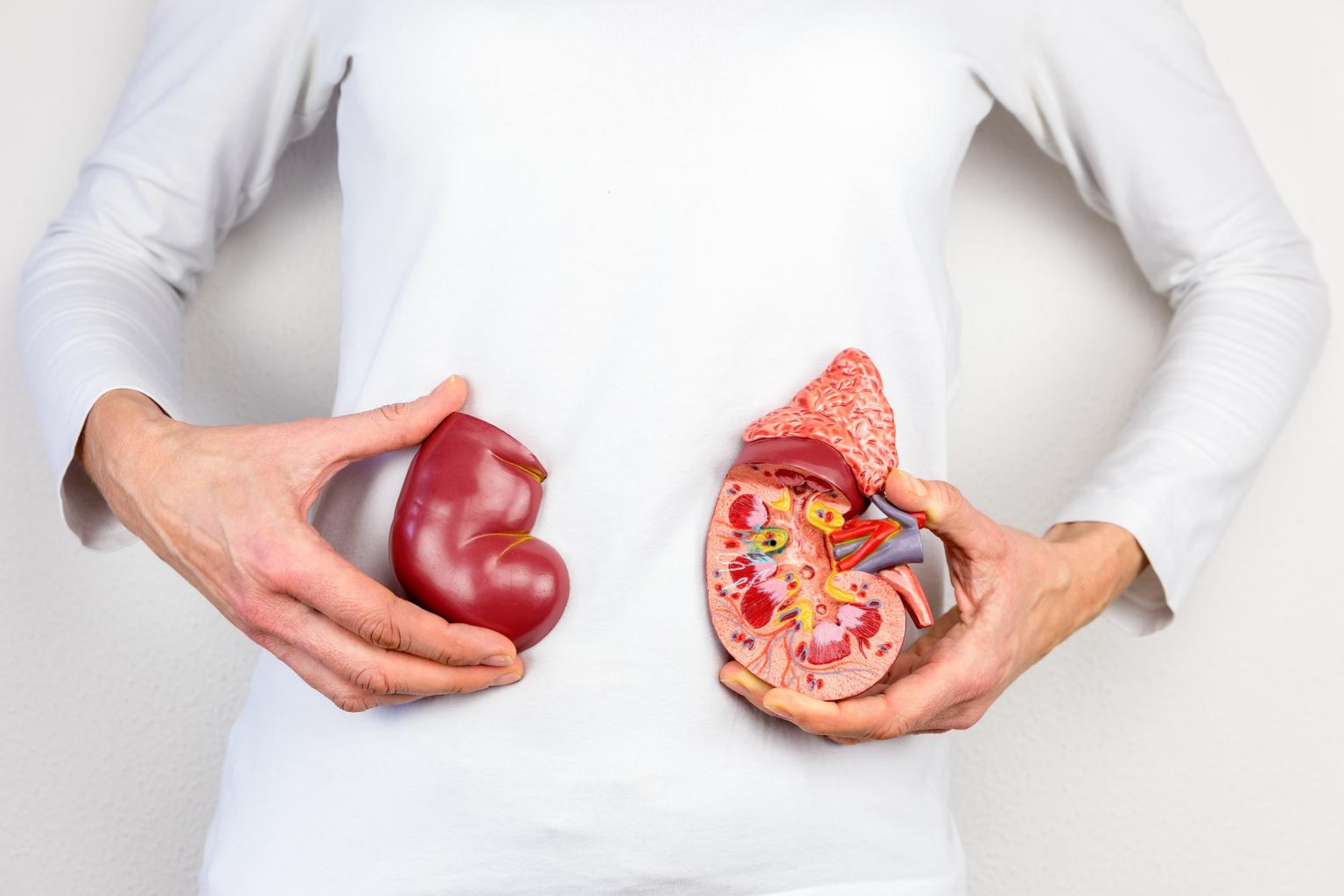 Ľadviny – posilnenie energie