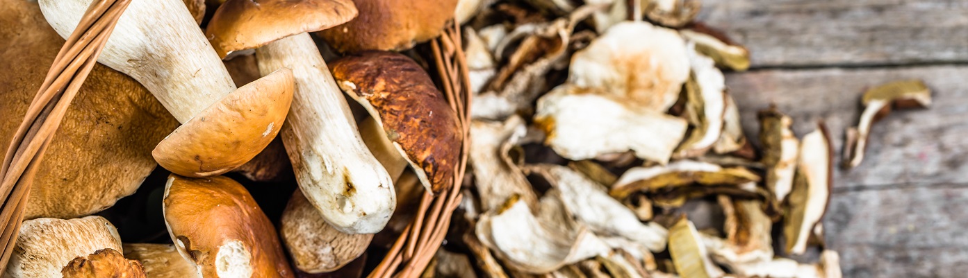 Mushrooms_1