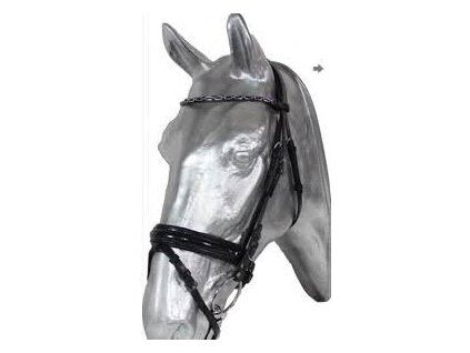 Uzdecka Kentaur lakovany nanosnik 2510201813413937455