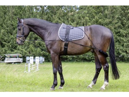 Lonzovaci postroj HKM COB FULL 1905202514441246358