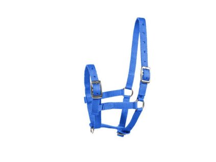 22182 B 1 2005202516542678889