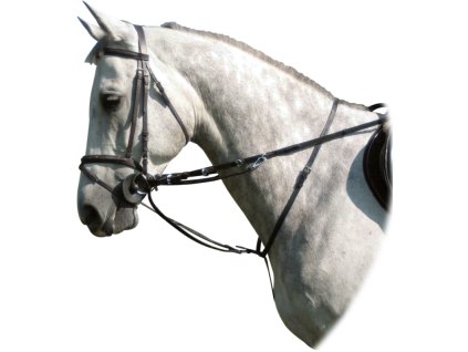 Thiedemann kombinace otěže + martingal, Kentaur