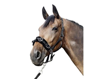 Lonžovací obnosek s měkým vypodložením HKM