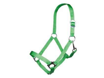 Nylonová ohlávka STARS Economy HKM – světle zelená